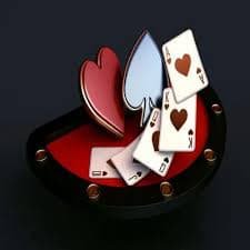 bd777win
